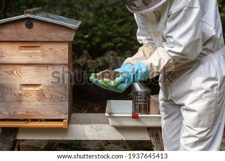 Similar – Image, Stock Photo dead bee in front of white background