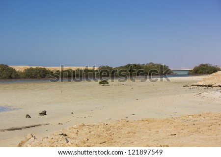 Mangrove Bay in Ras Mohamed National Park, Egypt.