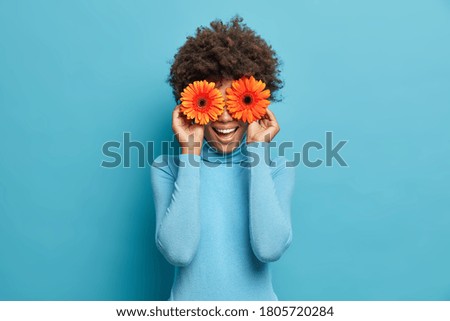 Playful positive African American woman covers eyes with two orange gerberas, enjoys spring time, fresh flowers, has fun, dressed casually, isolated on blue background. Happy florist indoor.