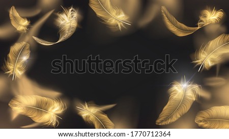 Frame of gold feathers on a black background, glamor and elegance