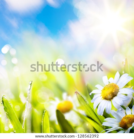 art abstract background spring summer flower in grass with water drops on sun sky