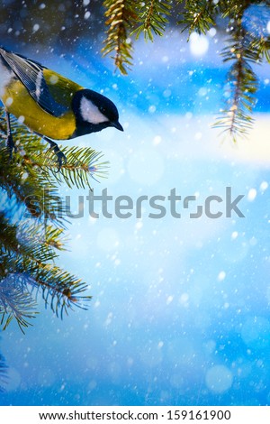 Christmas card with tits on the Christmas tree and snowflakes