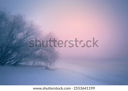 Similar – Image, Stock Photo light Idyll River bank