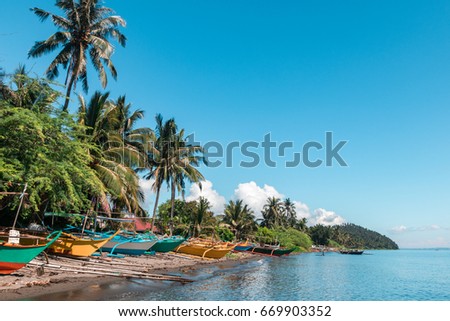 Traditional and colorful Filipino boats (bangka) stranded on the beach on a sunny day in Puerto Galera, Philippines. Palm trees and vegetation in the background. Zdjęcia stock © 
