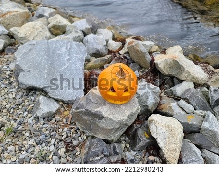 A carved pumpkin sitting on a rock near the water. Foto stock © 