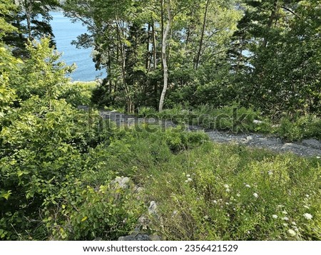 Similar – Image, Stock Photo small path that goes into the forest of tarragona