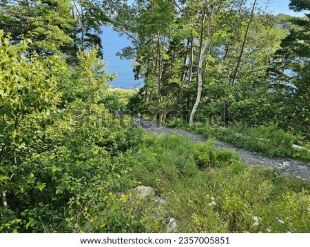 Similar – Image, Stock Photo small path that goes into the forest of tarragona