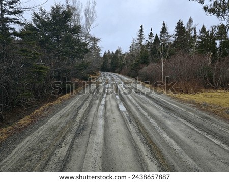 Foto Bild Pfützen auf einer Landstraße nach Regenfällen. Schwarz und weiß düstere Landschaft Szene