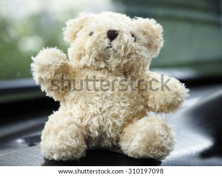 Teddy Bear toy alone on car