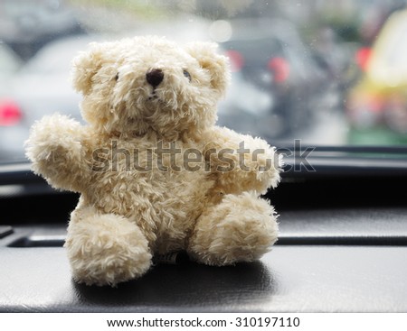 Teddy Bear toy alone on car