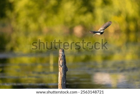 Similar – Image, Stock Photo Flight over a small winding river