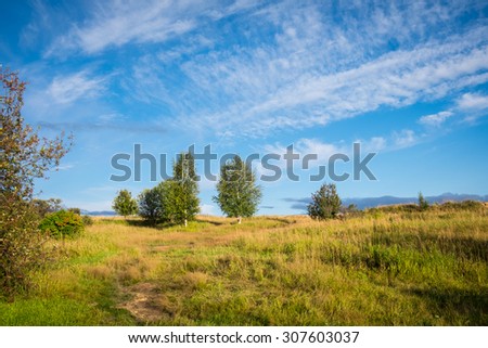 Summer Siberian Landscape with Birch Trees, Bird Cherries and Blue Sky with Feather Clouds, Small Rain Clouds and a Plane Flying by