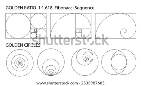 Golden ratio 1:1.618. Harmony proportions vector template. Editable stroke. Ratio used in design for well balanced proportion.