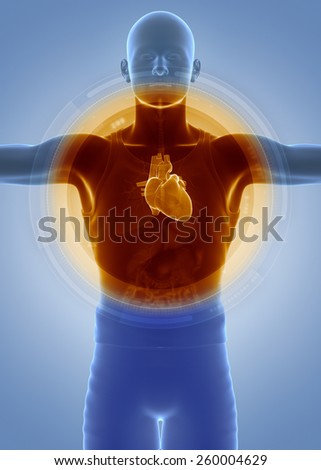 Medical anatomy scan HEART