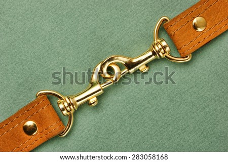 leather strap with carabiner on a green background