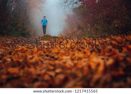 Similar – Image, Stock Photo Winter Run Silhouette Fog