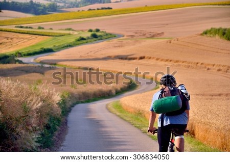 Biker riding on cycling road through summer agricultural fields which are full of gold wheat with wander bag