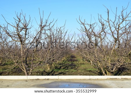 Similar – Image, Stock Photo snowless January Meadow