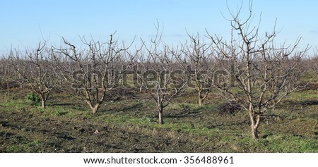 Similar – Image, Stock Photo snowless January Meadow