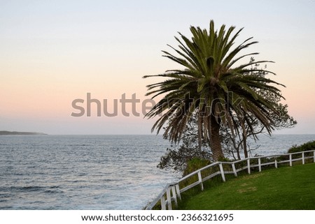 Similar – Image, Stock Photo Shire Nature Landscape Sky