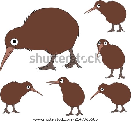 Kiwi Bird Cartoon Character Illustration Native Aotearoa New Zealand