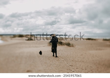 Similar – Image, Stock Photo windswept Wind Walking