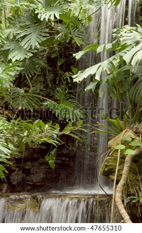 Looking through tropical foliage at waterfall