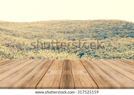 Wooden board empty table in front of blurred background. Perspective brown wood over blur trees in forest - can be used for display or montage your products. spring season. vintage filtered image.