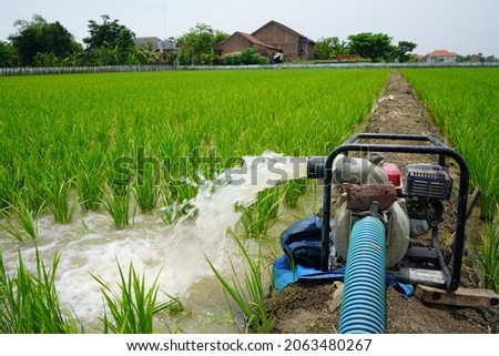 Irrigation of rice fields using pump wells with the technique of pumping water from the ground to flow into the rice fields. The pumping station where water is pumped from a irrigation canal. Imagine de stoc © 