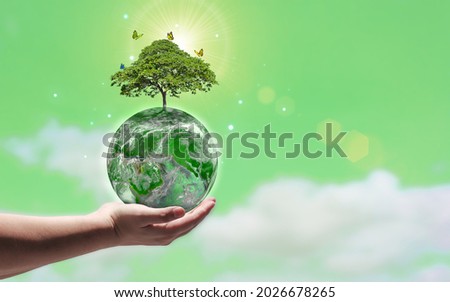 Hand holding a green world with growing trees and blurry green sky background. concept of world environment day with planting trees and a green world. elements of this image furnished by NASA Stockfoto © 