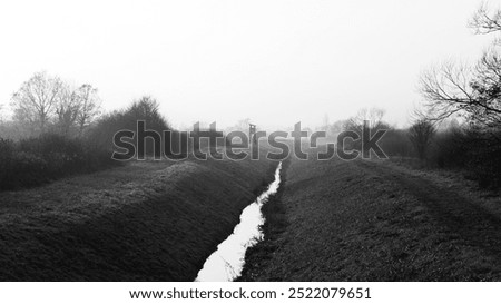 Image, Stock Photo Overgrown trees in foggy forest under sky