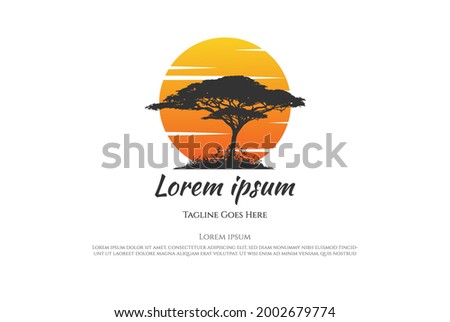 Sunset Sunrise African Acacia Tree Forest Logo Design Vector