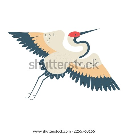 Japanese red crowned crane isolated on white. Tsuru bird aka Grus japonensis in flight. Crane of Eastern Asia is symbol of good fortune, peace and luck.