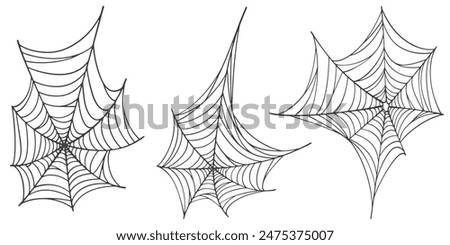 Spider web line art vector eps