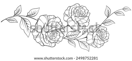 Line art of rose flower, black and white outline of rose flowers vector illustration