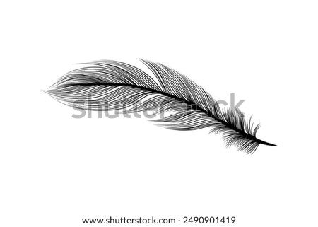 Fluffy feathers flying plume quills silhouettes design editable background