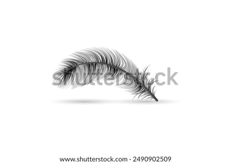 Isolated and realistic feather black icon feather slowly falling down design editable transparent background