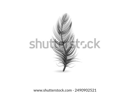 Isolated and realistic feather black icon feather slowly falling down design editable transparent background