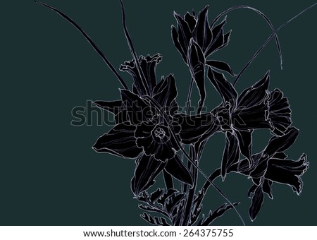 Black flowers - daffodils