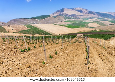 Italy, Sicily, countryside, cultivated fields and hill