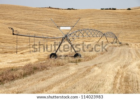 Water irrigation system on dry harvested corn field