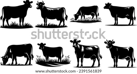 Cows Silhouettes In Different Poses Cow Grazing On Meadow