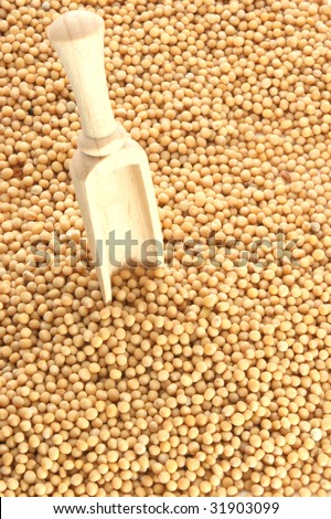 Mustard seeds are tiny round seed