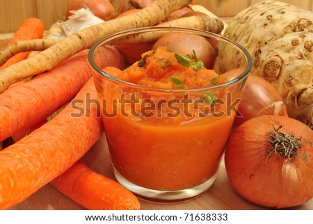 delicious vegetable soup liquidized for old people