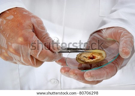 one piece of celery is examined in the food laboratory