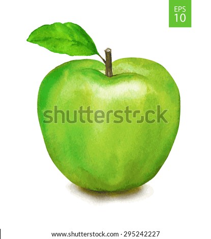 Green apple. Watercolor drawing. Vector illustration