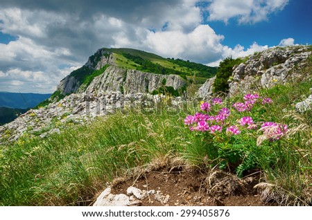 landscape, beautiful view of the lush hills and mountains with flowers in the foreground