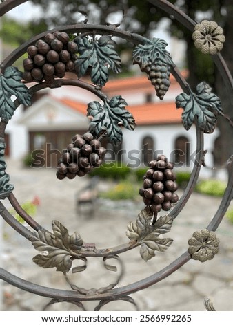 Similar – Image, Stock Photo Vine Architecture