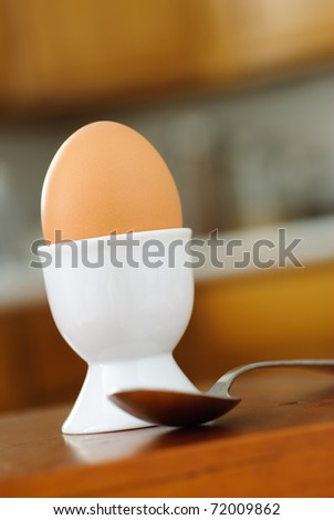 Hard Boiled Brown Egg in a Holder with a Spoon