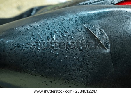 Similar – Image, Stock Photo bicycle seat, mode of transportation in the city